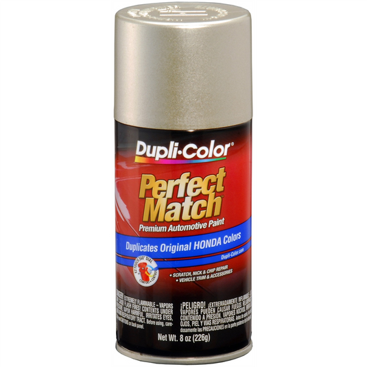 Krylon Seattle Silver Met