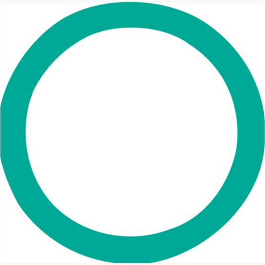 FJC O Ring 10