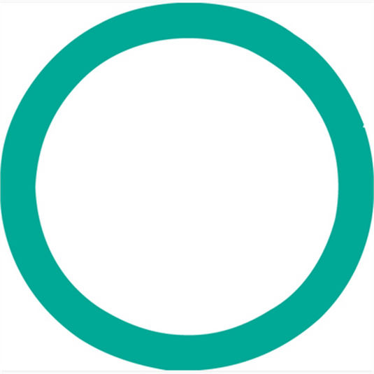 FJC O-RING