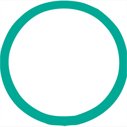 FJC O-RING