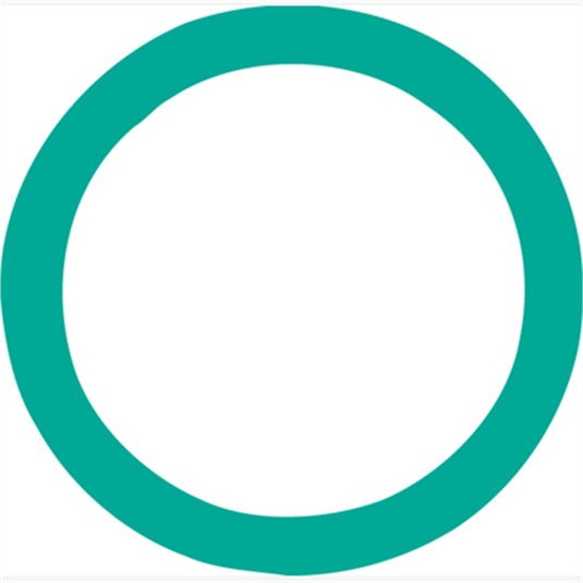 FJC O RING
