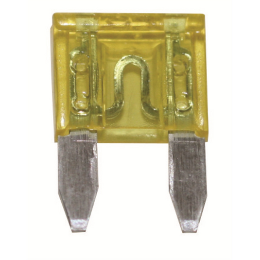 The Best Connection 30 Amp Green Mini Fuse