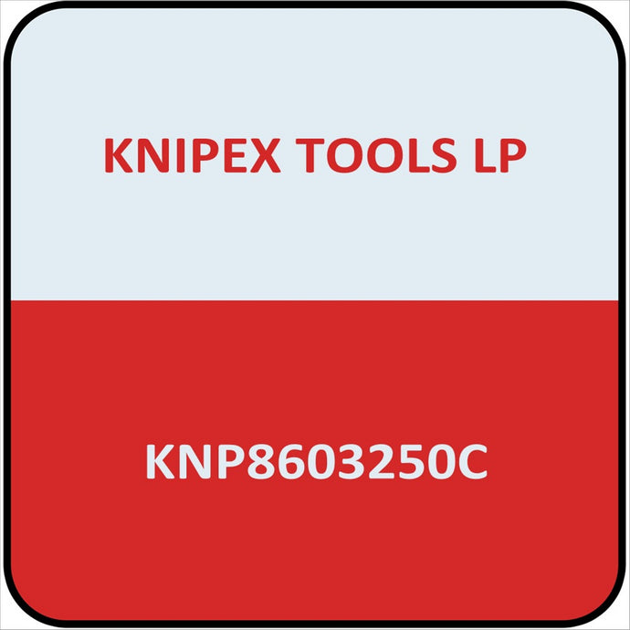 KNIPEX 10