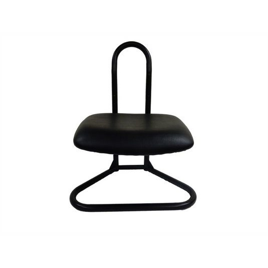 ShopSol Detailing Stool