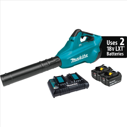 Makita 18V Blower Kit