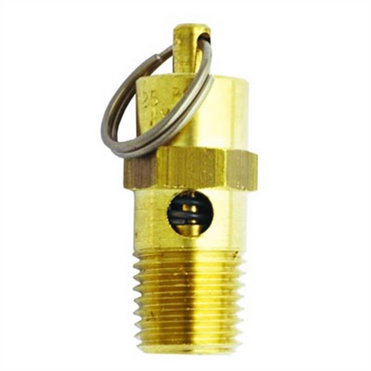 Milton Industries Safety Valve 1/4"" MNPT 125 PSI