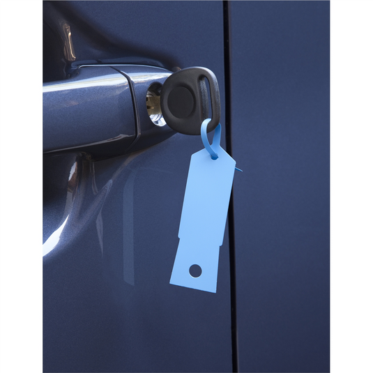 Petoskey Plastics Blue Plastic Key Tags- 1;000/Box