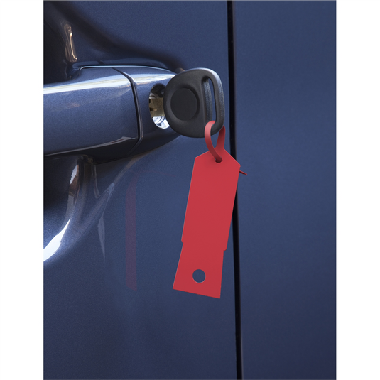 Petoskey Plastics Red Plastic Key Tags- 1;000/Box