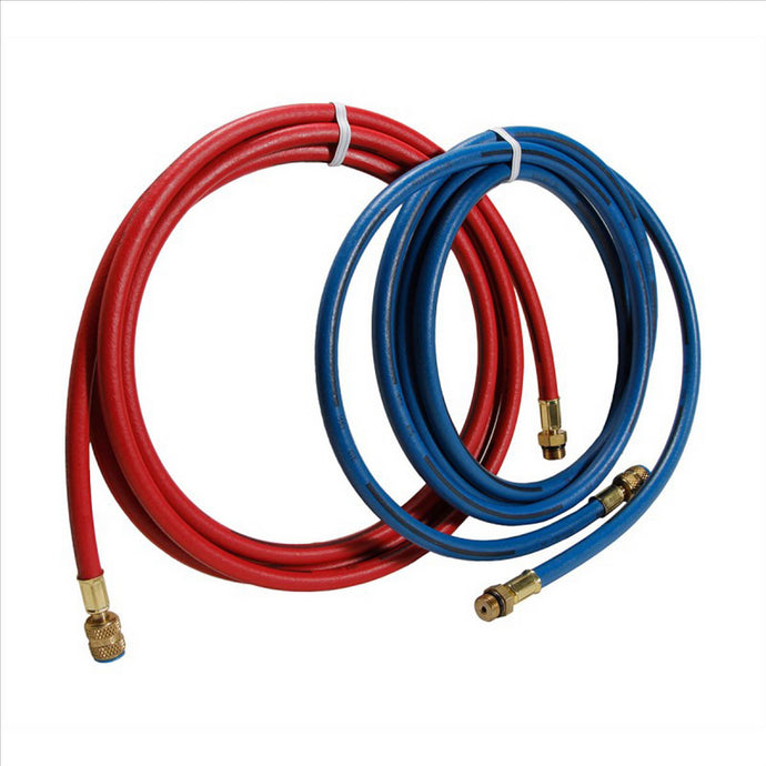 Robinair 9' Long Red and Blue R-134a Enviro-Guard Hose Set