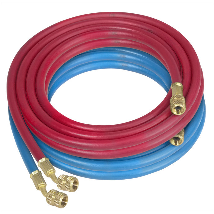 Robinair RED & BLUE HOSE KIT 20FT