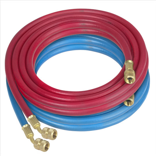 Robinair RED & BLUE HOSE KIT 20FT