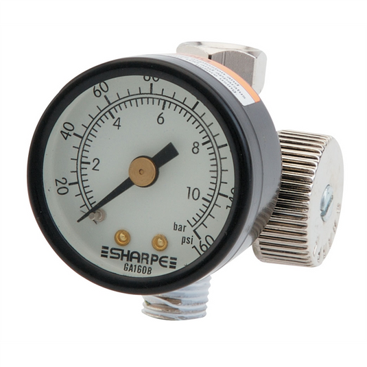 REGULATOR AIR ADJUSTING WITH GAUGE 0-160PSI 24AAV