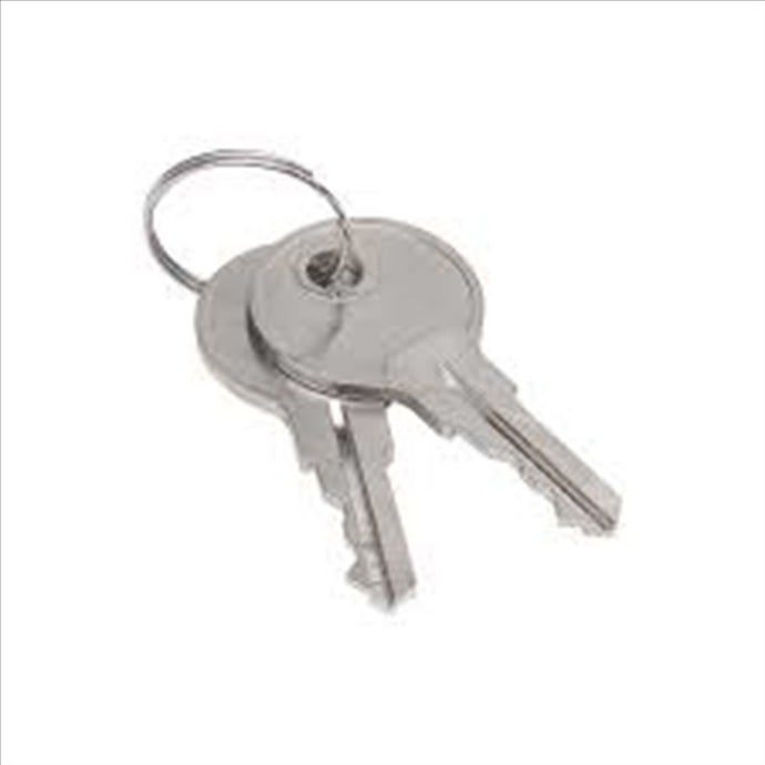 Sellstrom Sellstrom - Keys for Monitor 2000 Germicidal Cabinet (set of 2) (S90494)