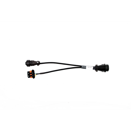 TEXA CLASS and RENAULT cable (3151/T43)