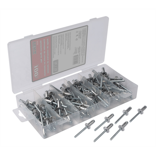 Titan 100 Piece 1/4 in x 1/2 in Aluminum/Steel Rivet Set