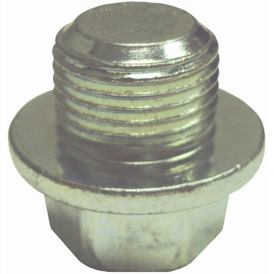 18mm - 1.50 Regular Point Zinc Plate 19mm Hex Drai