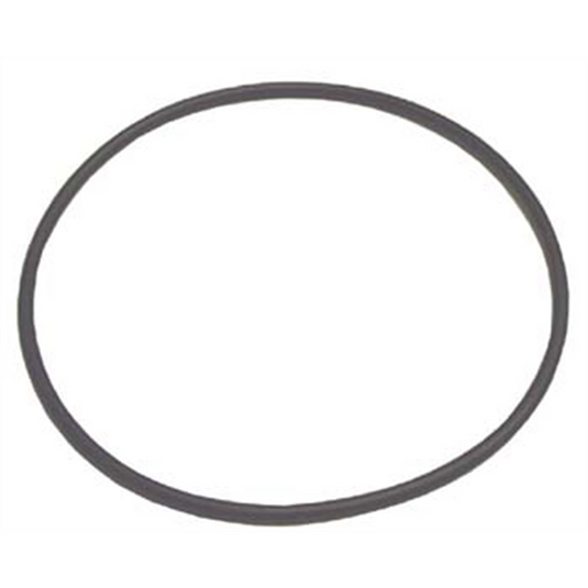 Tire Mechanic's Resource (H10)Large O-Ring For TC182034 Rotary Coupling Assembly