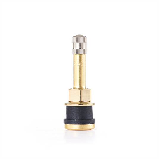 Tire Mechanic's Resource TR500 Brass Truck Valve (Pack of 50)