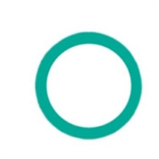 Metric Nissan Discharge O-Ring