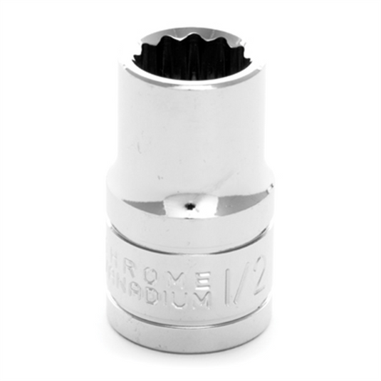 Wilmar Corp. / Performance Tool 1/2"" Dr 12pt Stndrd Skt 1/2